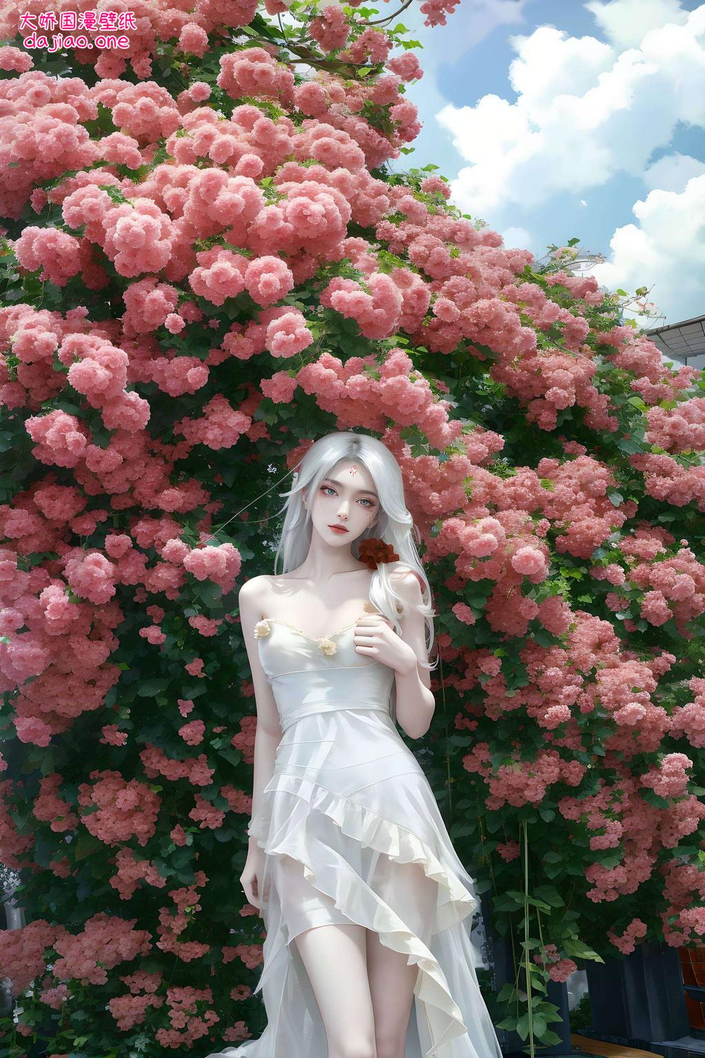 感受那份不染尘埃的纯净之美如今以国漫女主之姿